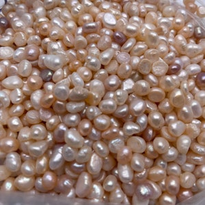 Genuine Natural Freshwater Pearls Ivory Jewellery Making Loose Crafting 5 - 9mm