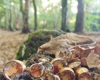 Real Leaf Ear Plugs, Rose Gold Ear Stretchers, Handmade Gauges with Real Autumn / Fall Leaves. READY TO SHIP