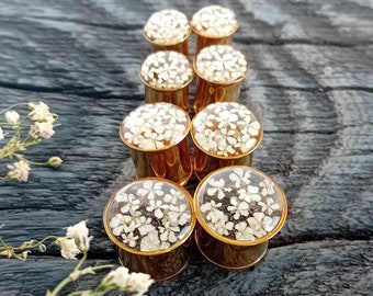 Gold & Cream Floral Plugs, Ear Tunnels, Real Flower Gauges, 6mm 2g; 7mm 1g; 8mm 0 Gauged Earrings, Handcrafted + Ready to Ship