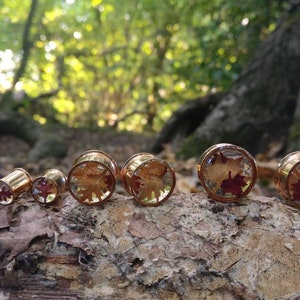 Real Leaf Ear Plugs, Rose Gold Ear Stretchers, Handmade Gauges with Real Autumn / Fall Leaves. READY TO SHIP