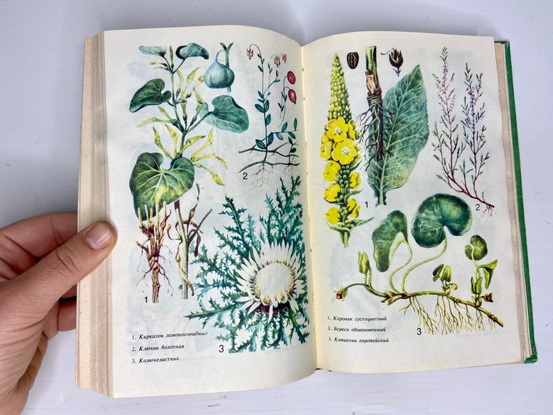 Vintage Botanical Illustrated Book - Old Phytotherapy Guide - Ukrainian ...