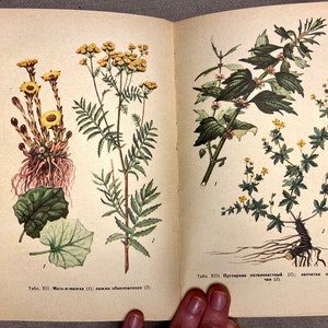 Vintage Botanical Illustrated Book - old Phytotherapy Guide - Ukrainian Herbalist Book - Herbal Treatment, Healing Herbs, USSR 1990