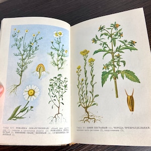 Vintage Botanical Illustrated Book, old Phytotherapy Guide, USSR Ukrainian Herbalist Book, Herbal Treatment, Healing Herbs books