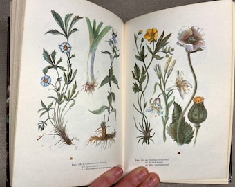May include: Open book with botanical illustrations. The left page features detailed drawings of plants with blue and white flowers, while the right page showcases yellow and white flowers, along with a poppy. The illustrations are accompanied by handwritten text.