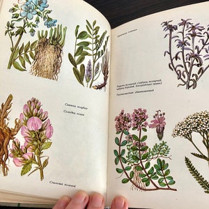 Vintage Botanical Illustrated Book, old Phytotherapy Guide, Ukrainian Herbalist Book, Herbal Treatment, USSR Healing Herbs,  1990
