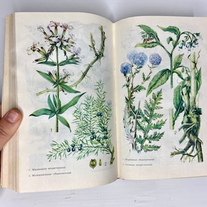 Vintage Botanical Illustrated Book - old Phytotherapy Guide - Ukrainian Herbalist Book - Herbal Treatment, Healing Herbs, USSR 1990