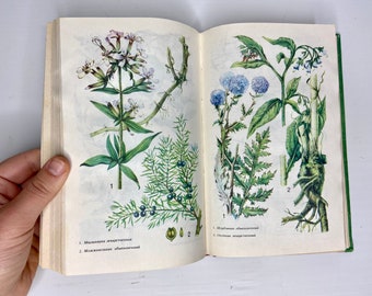 Vintage botanisches Illustriertes Buch - alter Phytotherapieführer - ukrainisches Kräuterbuch - Kräuterbehandlung, Heilkräuter, UdSSR 1990