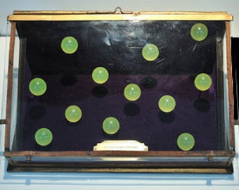 Hypersphaerae phosphori – Glow-in-the-Dark Superball: Antique Display Case with Glow-in-the-Dark Bouncy Balls! Phosphorescent Fun!