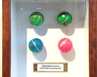 Hypersphaerae variscia – Embellished Variscite Superball: Hand-crafted Bouncy Ball Vitrine with Colorful Mineral-like Specimens