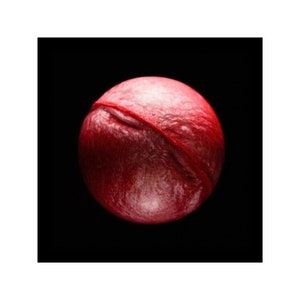 May include: A close-up of a red, round, textured object with a white stripe across the middle. The object is against a black background.