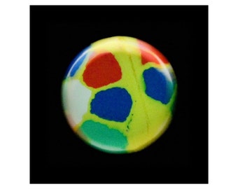 SCl-F1 H chelonii - Clown Colored Turtle Shell Superball