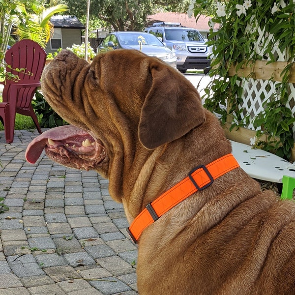 Hi Vis Orange Dog Collar XL Adjustable 20" - 30"