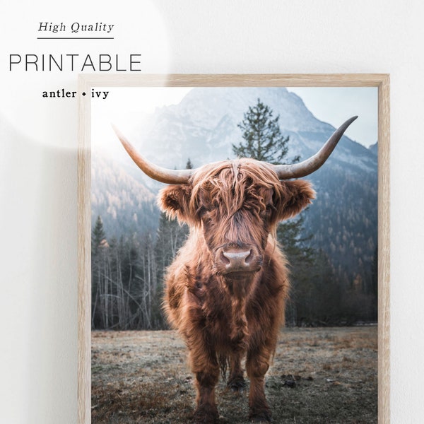 Highland Cow Wall Art, Scotland Highland Cow Print Download, Boho Animal Prints, Scotland Cow Art, Highland Cow Digital Print Cow With Horns