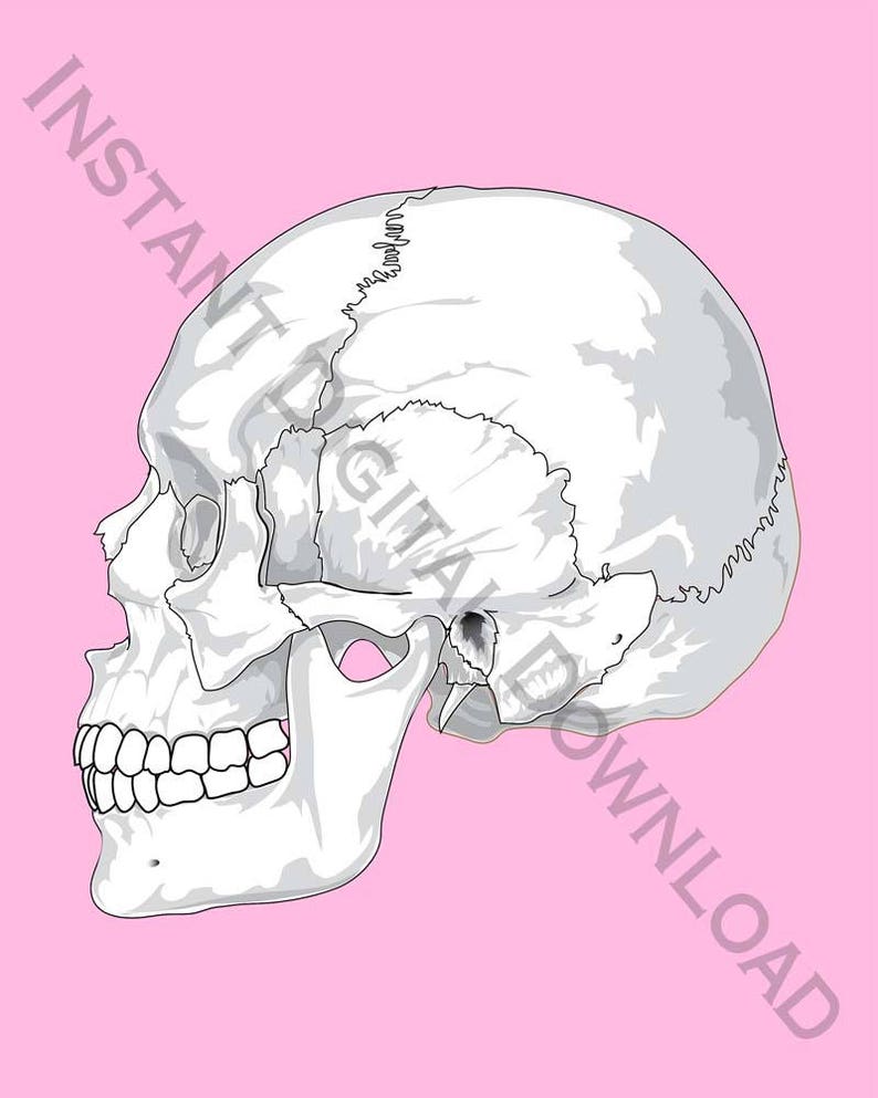 Pink and White Urban Skull Print Instant Digital Download image 2