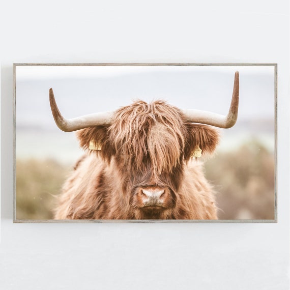 Highland Cow Digital Art Print for Digital Frame Tv Art Frame Tv Farmhouse Art for Frame TV Cow Download Samsung Frame TV Art