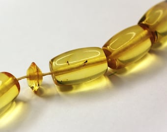 INSECT Amber Tespih Massive Lemon Sparkling Keg Baltic Amber Inclusions Islam Prayer Beads 33+3 Beads Misbaha Gebetskette KEHRİBAR TESBİH
