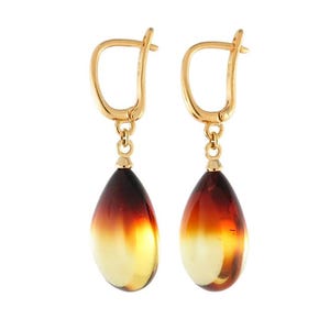 Baltic Amber Drop Earrings: 14K Gold Plated Dangle Earrings