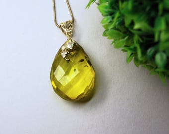 Ambre avec Insecte - Mer Baltique