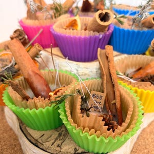 Handmade Beeswax Fire Starters • Botanical Campfire, Fire Pit Igniters