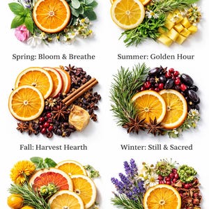 Ensemble de pot-pourri saisonnier sur la cuisinière | Mélanges botaniques naturels pour mijoter (printemps, été, automne, hiver)