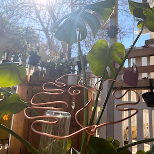 Handmade Copper Monstera Trellis | Modern Plant Support Ring