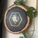 Bee Healthy Hive