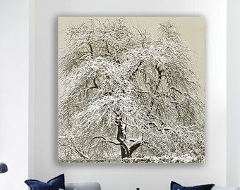 Leinwand Alter Baum im Schnee - Historische Schwarz Weiß Fotografie, Winter - Vintage Art - Kunst - Wandbild  - 4 cm starker Rahmen