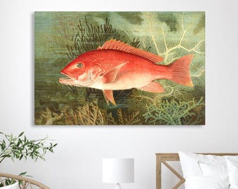 Red fish with coral in the sea, based on an old vintage painting from 1880. Red Snapper giclée print on canvas. Colorful underwater world.