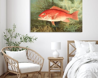 Red fish with coral in the sea, based on an old vintage painting from 1880. Red Snapper giclée print on canvas. Colorful underwater world.