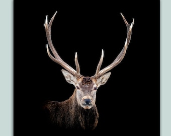Canvas print - Collage of a deer with large antlers, portrait, wall decoration, Christmas, winter, large format