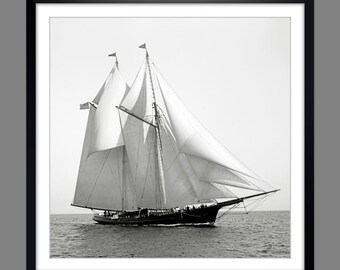 Sailing yacht schooner Norseman at sea 1888 Art print Historical black and white photography Poster - Vintage - Nautical Maritime