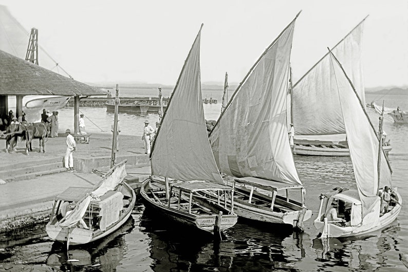 Sailboats in the harbor of San Juan around 1902 ART PRINT Historical black and white photography vintage fine art print maritime sea reflection image 2