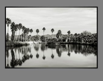 Analogue photography 80s palm oasis in California near Palm Desert Vintage ART PRINT Poster