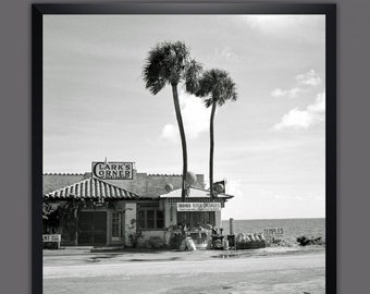 Florida Palmen Meer, Kunstdruck Poster gerahmt 53 x 53 cm Wandbild, Vintage Art, Geschenk, Schwarz weiß Fotografie, Fotokunst