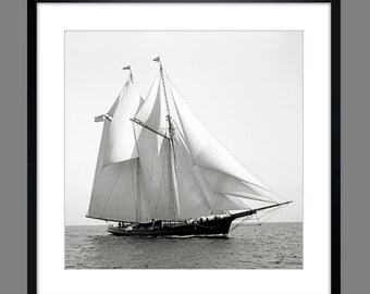 Sailing yacht Norseman at sea 1888 ART PRINT framed black and white photography vintage fine art print nautical - maritime wall art