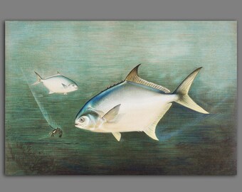 Two fish and a shrimp in the sea, based on an old vintage painting from 1880, giclée print on canvas. Colorful underwater world.