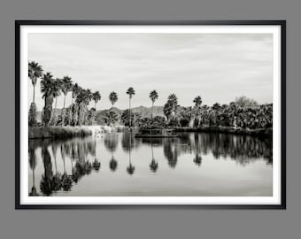 Analogue photography 80s palm oasis in California near Palm Desert Vintage ART PRINT Poster
