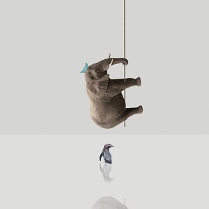 Elephant Pinguin print-Little Blue Hat 3-ansichtkaart 14, 8cm x 14, 8cm/print 20cm x 20cm (7, 9 "x 7, 9")/Print 30cm x 30cm (11, 8 "x 11, 8")