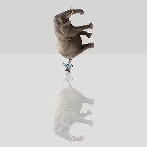 Elephant Penguin print-Little Blue Hat 5-ansichtkaart 14, 8cm x 14, 8cm/print 20cm x 20cm (7, 9 "x 7, 9")/Print 30cm x 30cm (11, 8 "x 11, 8")