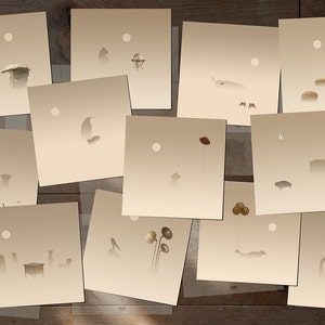 Tiere Postkarten Art Funny-Things Tiere tun an einem nebligen Morgen-Satz von 12 Postkarten-Illustration Postkarte 14,8cm x 14,8cm (5,8 "x 5,8")