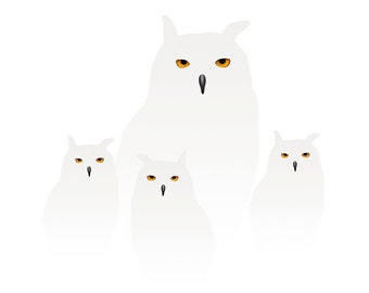Snowy owls (4) - Illustration postcard 14,8cm x 14,8cm (5,8" x 5,8") / print 20cm x 20cm (7,9" x 7,9") / print 30cm x 30cm (11,8" x 11,8")