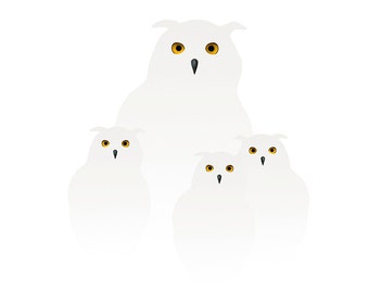 Snowy owls (3) - Illustration postcard 14,8cm x 14,8cm (5,8" x 5,8") / print 20cm x 20cm (7,9" x 7,9") / print 30cm x 30cm (11,8" x 11,8")