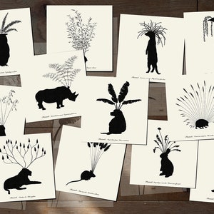 Tiere Pflanzen Kunstkarten - Planimals - Set von 12 Postkarten - Illustration Postkarte 14,8cm x 14,8cm (5,8 "x 5,8")