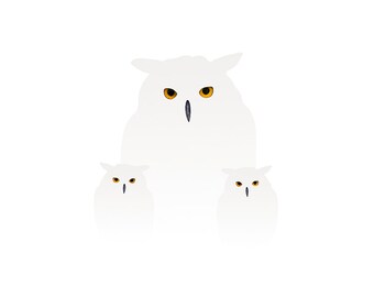 Snowy owls (2) - Illustration postcard 14,8cm x 14,8cm (5,8" x 5,8") / print 20cm x 20cm (7,9" x 7,9") / print 30cm x 30cm (11,8" x 11,8")