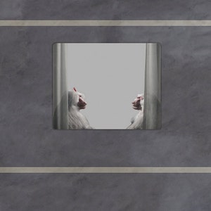 以下が含まれることがあります： 白い毛皮と赤い顔をした2匹のヒヒが映る正方形の鏡。鏡は、水平な薄い灰色のストライプが入った、テクスチャ加工された灰色の背景に配置されています。1匹のヒヒは頭に赤い飾りをしています。