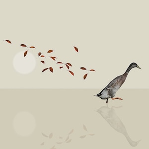 ランナーダック 1 - イラストポストカード 14.8 cm x 14.8 cm (5.8" x 5.8") / プリント 20 cm x 20 cm (7.9" x 7.9") / プリント 30 cm x 30 cm (11.8" x 11.8")
