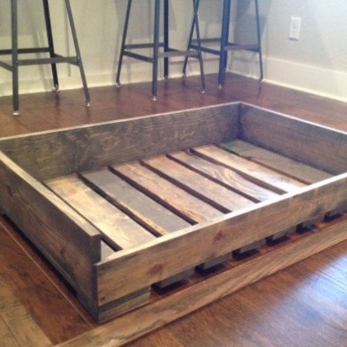 freshwater seahorse aquarium