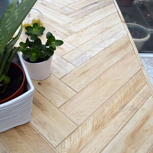 May include: A light-colored wooden table with a herringbone pattern. The table is surrounded by plants in pots, including aloe vera and a small green plant. The table is made of light-colored wood.