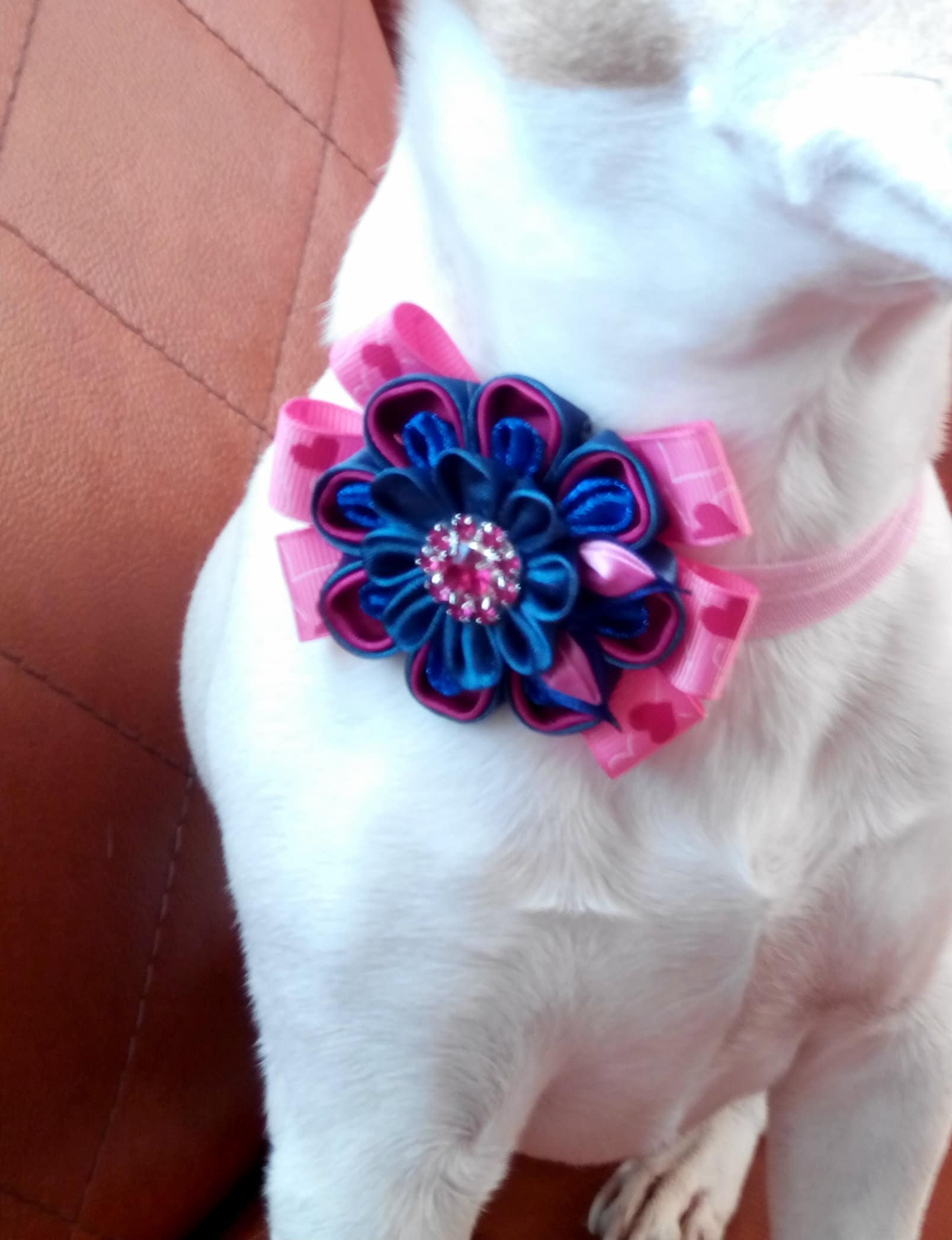 Pink Floral Dog Collar/Girl dog collar with flower/Stretch Etsy