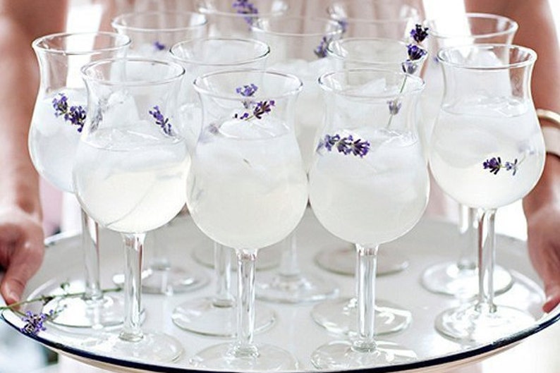 May include: A tray of clear glass goblets filled with a white liquid and garnished with lavender sprigs.